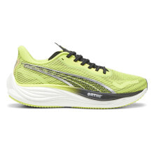 Men's running shoes