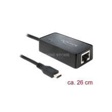 DELOCK Adapter USB Type-C Stecker auf Gigabit LAN 10/100/1000 Mbps