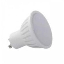 KODAK 30415812 Globe LED Bulb