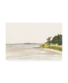 Trademark Global dianne Miller Solitary Coastline I Canvas Art - 15