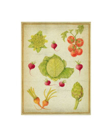Trademark Global deborah Kopka Les Beaux Legumes (The Beautiful Vegetables) Vintage Canvas Art - 27