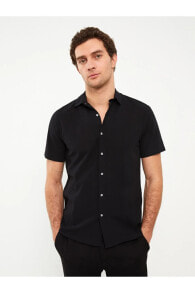 Men's Shirts