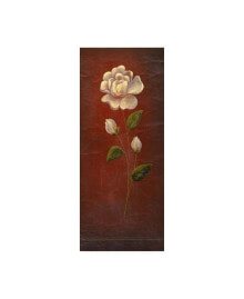 Trademark Global pablo Esteban White Rose on Red Background Canvas Art - 36.5