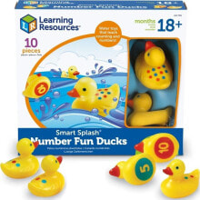 Educational and educational toys