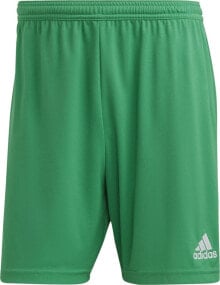 Men's Sports Shorts