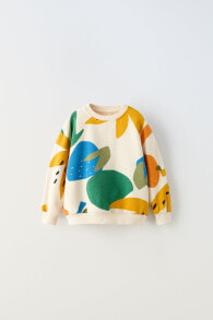 Fruit sweatshirt