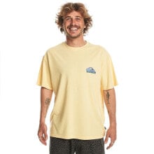 QUIKSILVER Take Us Back Logo Short Sleeve T-Shirt