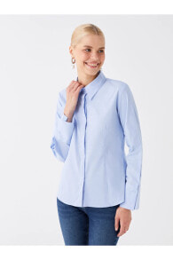 Women's Shirts