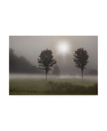 Trademark Global monte Nagler Two Trees and Sunburst Logan Ohio Canvas Art - 15