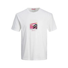 Men's sports T-shirts and T-shirts