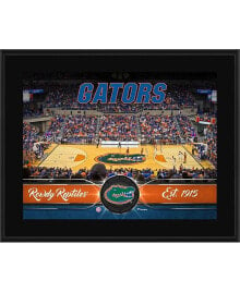 Fanatics Authentic florida Gators 10.5'' x 13'' Sublimated Basketball Plaque