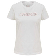 Men's sports T-shirts and T-shirts