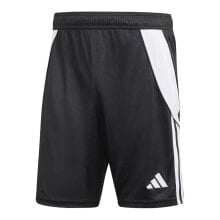 Sports Shorts