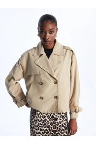 Women's raincoats and trench coats