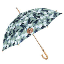 Зонты