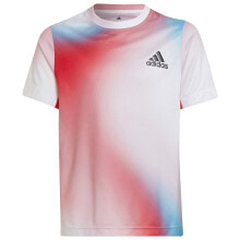 Men's sports T-shirts and T-shirts