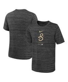 Children's T-shirts and T-shirts for boys