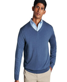 Купить мужские свитеры и кардиганы Charles Tyrwhitt: Men's Pure Merino V Neck Sweater