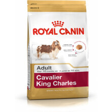 Fodder Royal Canin Cavalier King Charles Adult 1,5 Kg