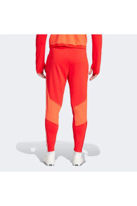 Men's Sweatpants