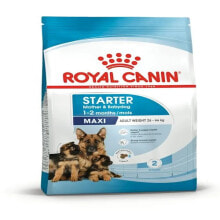 ROYAL CANIN Shn maxi starter mother & baby dog food 4 kg