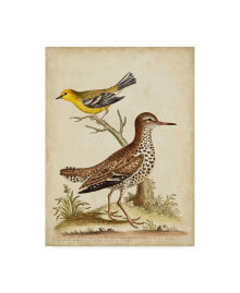 Trademark Global george Edwards Antique Bird Menagerie I Canvas Art - 20