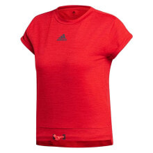 Men's sports T-shirts and T-shirts