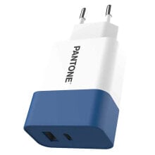 PANTONE UNIVERSE PT-PDAC02N USB-C And USB-C Wall Charger