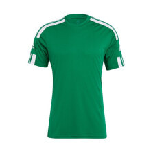 Мужские спортивные футболки Мужская спортивная футболка зеленая с полосками на рукавах Adidas Squadra 21