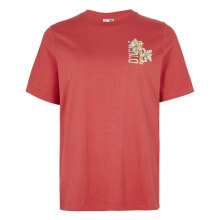 Men's sports T-shirts and T-shirts