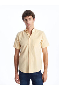 Men's Shirts