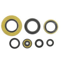 HOLESHOT Suzuki 1996-2005 RM250 Oil Seals Kit