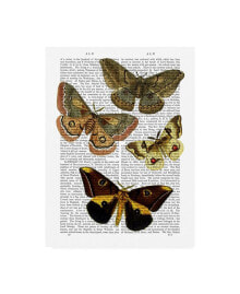 Trademark Global fab Funky Moth Plate 3 Canvas Art - 36.5