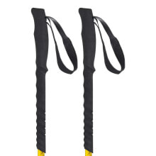 Nordic walking sticks and trekking poles