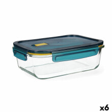 Containers and lunch boxes