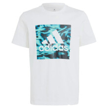 ADIDAS Akd Gt Short Sleeve T-Shirt