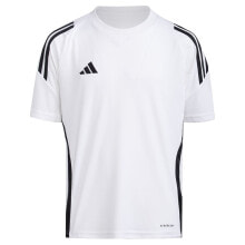 Men's sports T-shirts and T-shirts