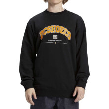 DC Shoes Orientation sweatshirt