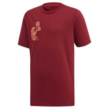 Men's sports T-shirts and T-shirts