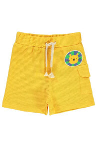 Children's shorts for boys