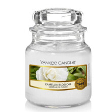 Декоративные свечи yankee Candle Camellia Blossom восковая свеча Другое Белый 1 шт 10.00138.0679