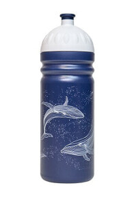 Sports Water Bottles