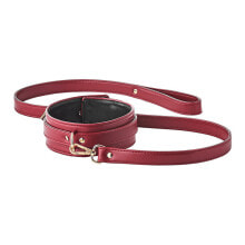 Blaze - Elite Collar and Leash