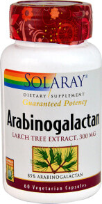 Витамины и БАДы для укрепления иммунитета Solaray Arabinogalactan Арабиногалактан, экстракт лиственницы для поддержки иммунитета и пищеварения  300 мг 60 вегетарианских капсул