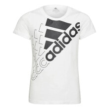 Men's sports T-shirts and T-shirts