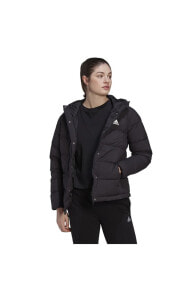 Women's Sports Jackets