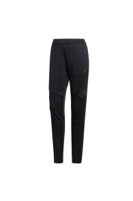 Women's Sweatpants