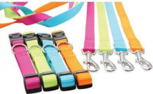 Dog Leashes