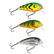 Baits and jigs for fishing