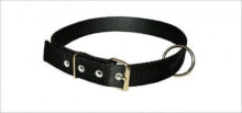 Dog Collars